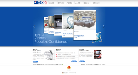 星星集团网站|乐环科技台州集团网站建设案例