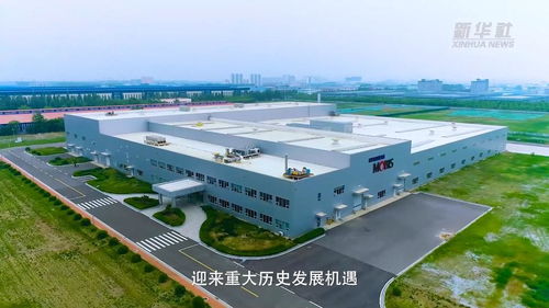 新华全媒 我见证 盐碱地上建工厂