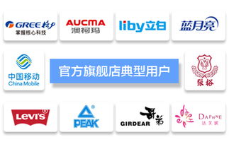 台州飞速网络 一站式网站建设、淘宝代运营与优化服务专家